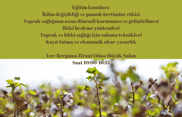 Pamuk üreticileri için eğitim düzenlenecektir